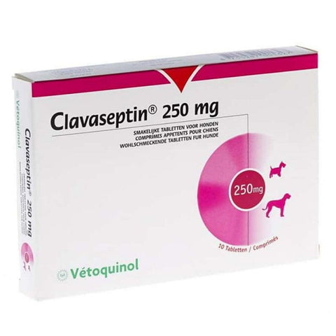 Clavaseptin Comprimidos Masticables 250mg - La Droguería