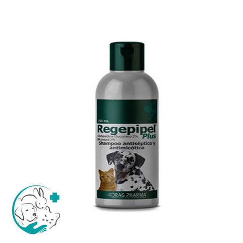 Regepipel Plus Shampoo - La Droguería